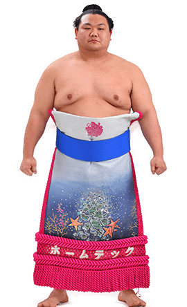 Portrait of the sumo wrestler