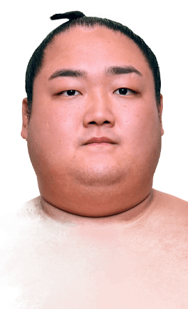 Portrait of the sumo wrestler