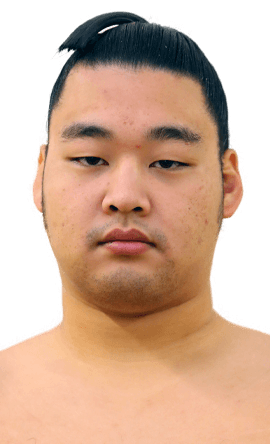 Portrait of the sumo wrestler