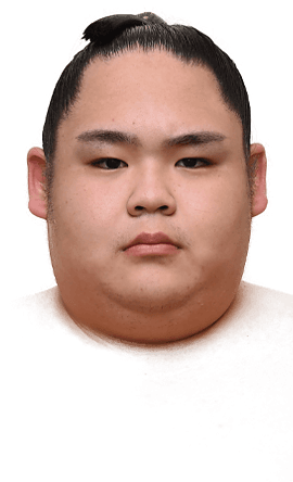 Portrait of the sumo wrestler