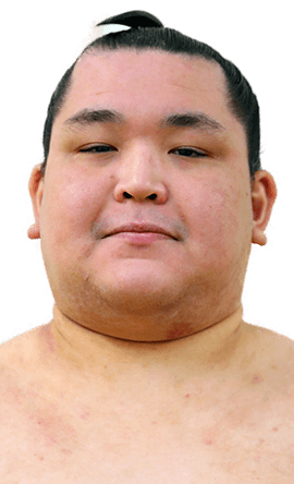 Portrait of the sumo wrestler