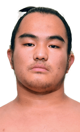 Portrait of the sumo wrestler