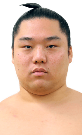 Portrait of the sumo wrestler