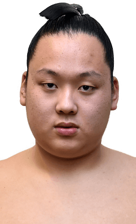 Portrait of the sumo wrestler