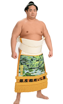 Portrait of the sumo wrestler