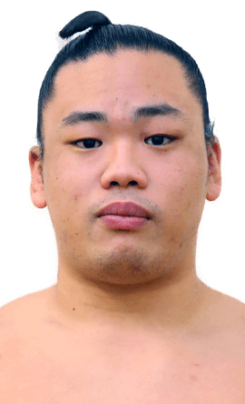 Portrait of the sumo wrestler