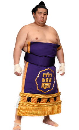 Portrait of the sumo wrestler