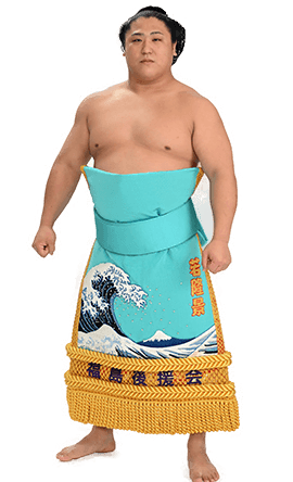 Portrait of the sumo wrestler