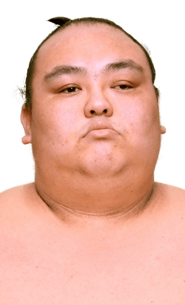 Portrait of the sumo wrestler