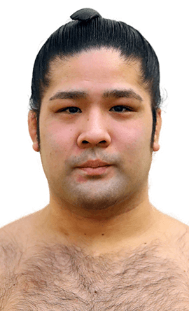 Portrait of the sumo wrestler