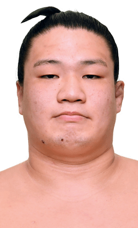 Portrait of the sumo wrestler