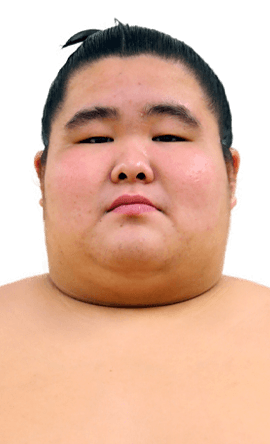 Portrait of the sumo wrestler