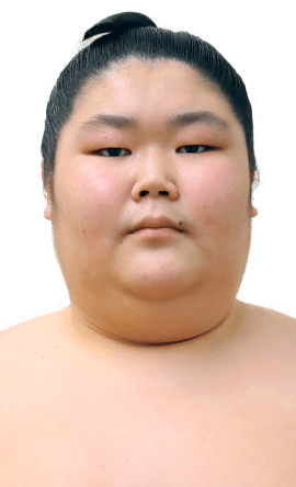 Portrait of the sumo wrestler