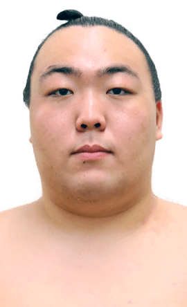 Portrait of the sumo wrestler