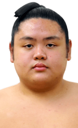 Portrait of the sumo wrestler