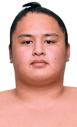 Portrait of the sumo wrestler