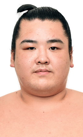 Portrait of the sumo wrestler