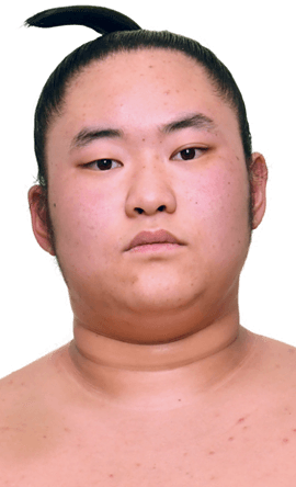 Portrait of the sumo wrestler