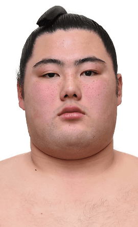 Portrait of the sumo wrestler