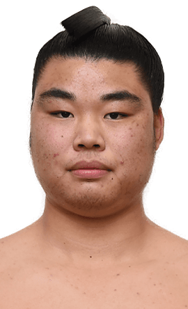 Portrait of the sumo wrestler