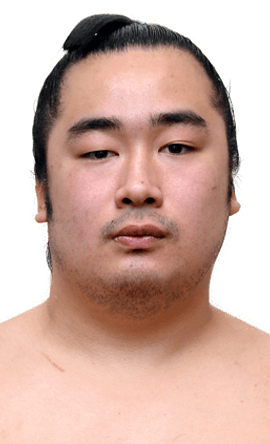 Portrait of the sumo wrestler