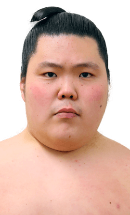 Portrait of the sumo wrestler