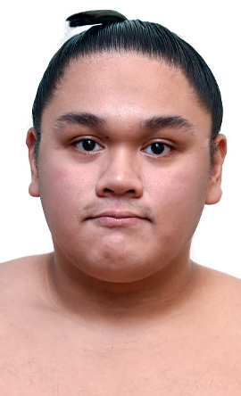 Portrait of the sumo wrestler