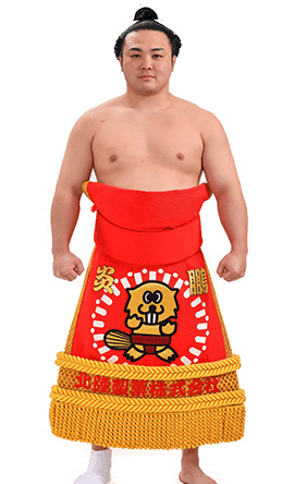 Portrait of the sumo wrestler