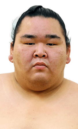 Portrait of the sumo wrestler