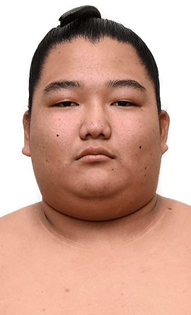 Portrait of the sumo wrestler