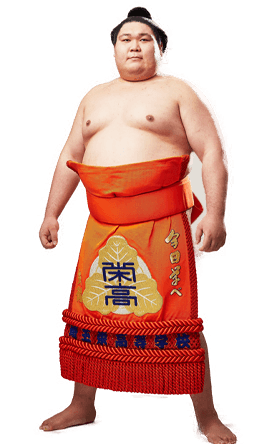 Portrait of the sumo wrestler