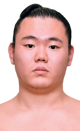 Portrait of the sumo wrestler