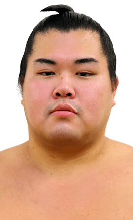 Portrait of the sumo wrestler