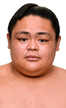 Portrait of the sumo wrestler