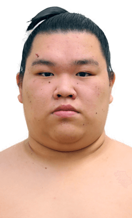 Portrait of the sumo wrestler