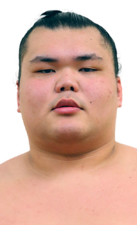 Portrait of the sumo wrestler