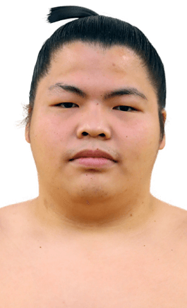 Portrait of the sumo wrestler