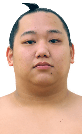 Portrait of the sumo wrestler