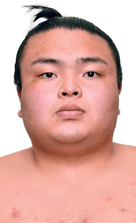 Portrait of the sumo wrestler