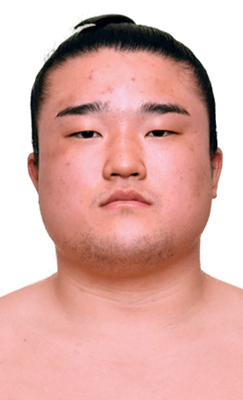 Portrait of the sumo wrestler