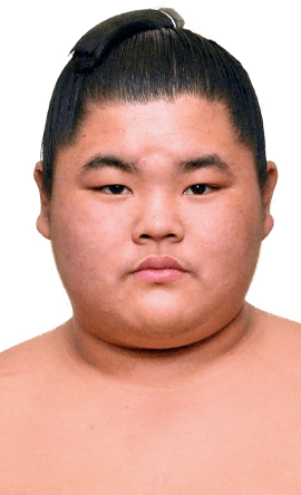 Portrait of the sumo wrestler