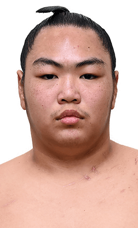 Portrait of the sumo wrestler