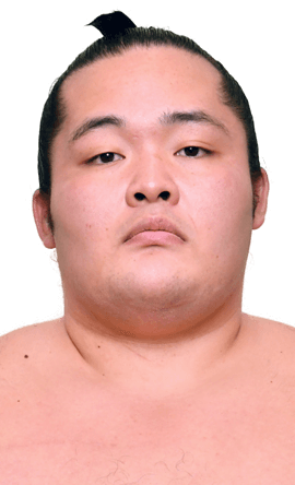 Portrait of the sumo wrestler