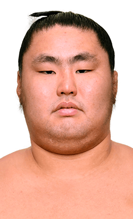 Portrait of the sumo wrestler