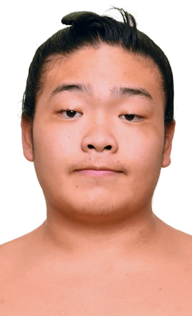 Portrait of the sumo wrestler