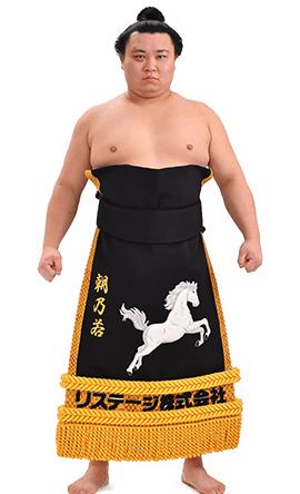 Portrait of the sumo wrestler