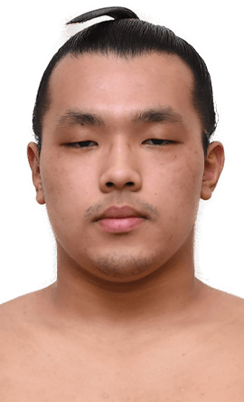 Portrait of the sumo wrestler