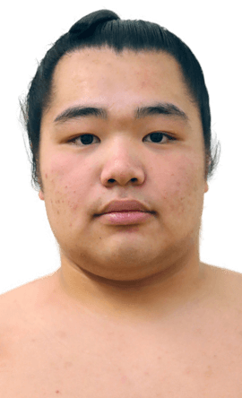 Portrait of the sumo wrestler