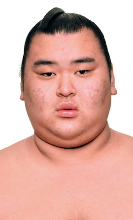 Portrait of the sumo wrestler