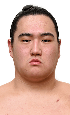 Portrait of the sumo wrestler